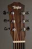 Taylor Guitars Baby Taylor (BT1) Steel string Acoustic Guitar New