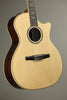 Taylor Guitars 814ce-N Nylon String Acoustic Electric Guitar New