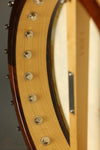 1993 Bart Reiter Special 5-String Open Back Banjo