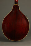 1924 Gibson TL-4 Tenor Lute Used