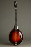 1924 Gibson TL-4 Tenor Lute Used