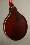 1924 Gibson TL-4 Tenor Lute Used