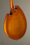 2007 Rigel I-110 Mandolin - Used