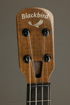 2014 Blackbird Clara Concert Ukulele Used