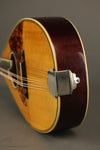 Circa 1926 Maurer Model 15 (Larson Brothers) Mandolin - Used