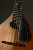 Northfield A4 Special NFMSP-A4 Mandolin - New