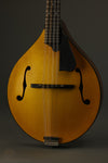 Northfield Model M NFM-A5 Mandolin - New