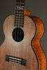 Kamaka HF-3 D4I Jake Blue Tenor Ukulele - New