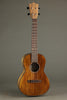 Martin TKE Acoustic Electric Tenor Ukulele - New