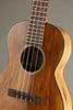 Martin TKE Acoustic Electric Tenor Ukulele - New