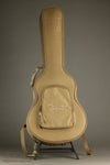 Taylor Guitars 50th Anniversary GS Mini-e Rosewood Natural Top LTD Acoustic Electric Guitar - New