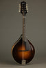 Collings MT Gloss Top Mandolin - New