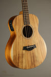 Taylor GS Mini-e Koa Bass Acoustic Bass - New