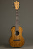 Martin TKE Acoustic Electric Tenor Ukulele - New