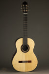 New World Player P650 Spruce Classical Guitar - New