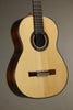 New World Player P650 Spruce Classical Guitar - New