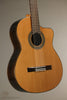 New World Estudio E650 Cedar Fingerstyle Classical - New