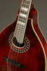 Eastman MD604 Acoustic Electric Mandolin  - New