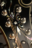 Northfield Big Mon LTD  NFB-F5A Adirondack Mandolin - New